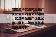 深度解析武汉网站推广优化公司的潜力与策略，武汉网站推广优化公司，潜力、策略及其市场前景分析