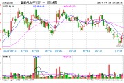 北京“车内无人”商业化试点来袭！智能电动车ETF（516380）盘中涨超2%，华友钴业、德赛西威一度触及涨停