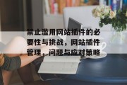 禁止滥用网站插件的必要性与挑战，网站插件管理，问题与应对策略