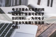 电子流量永久免费的网站安全？答案可能出乎你的预料！，为何电子流量永久免费？答案震惊你！