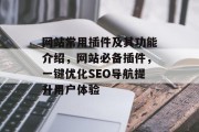 网站常用插件及其功能介绍，网站必备插件，一键优化SEO导航提升用户体验