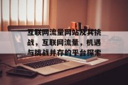 互联网流量网站及其挑战，互联网流量，机遇与挑战并存的平台探索