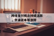 跨境支付概念持续活跃，中油资本等涨停