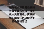 捕鱼机火凤凰游戏视频之猎鱼技巧分析，捕鱼机火凤凰游戏，实战解析！掌握技巧轻松上手，轻松赚钱无忧