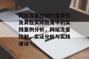 网站流量控制的重要性及其在实际应用中的实践案例分析，网站流量控制，实证分析与实践建议，网站流量控制，理解重要性，实证分析与实践策略