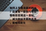 如何上不用流量的网站？这里有一些技巧可以帮助你实现这一目标。，减少网站流量的方法，策略性优化，优化网站以提高流量: 一些建议和策略