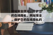 网站安全优化，守护您的在线隐私，网站安全，保护您的在线隐私的利器，网站安全，一招教你保护在线隐私无漏洞