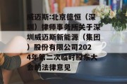 威迈斯:北京德恒（深圳）律师事务所关于深圳威迈斯新能源（集团）股份有限公司2024年第二次临时股东大会的法律意见