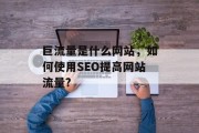 巨流量是什么网站，如何使用SEO提高网站流量?，揭秘，如何利用SEO提高网站流量?