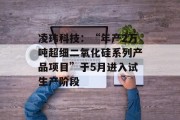 凌玮科技：“年产2万吨超细二氧化硅系列产品项目”于5月进入试生产阶段