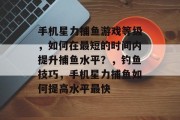 手机星力捕鱼游戏等级，如何在最短的时间内提升捕鱼水平？，钓鱼技巧，手机星力捕鱼如何提高水平最快