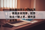 优化网站优化软件批发，提高企业效率，软件优化一键上手，提升企业效率，一键优化工具，帮助企业高效提高工作效率的软件大全