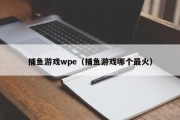 捕鱼游戏wpe（捕鱼游戏哪个最火）