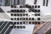 揭秘，国际网站流量查询工具揭秘，轻松掌握数据指标分析，一探网站流量的秘密武器，国际流量查询工具深度解析数据指标，国际流量查询工具揭秘，数据指标一目了然！