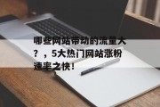 哪些网站带动的流量大？，5大热门网站涨粉速率之快！，五大热门网站涨粉速率排行榜，提升用户粘性神器