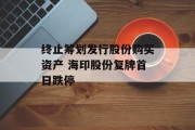 终止筹划发行股份购买资产 海印股份复牌首日跌停