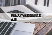 捕鱼大作战里面翅膀怎么用