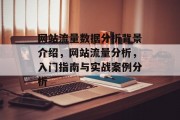 网站流量数据分析背景介绍，网站流量分析，入门指南与实战案例分析，网站流量分析，入门指南与实战案例分析