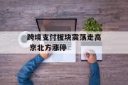 跨境支付板块震荡走高 京北方涨停