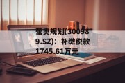 蕾奥规划(300989.SZ)：补缴税款1745.61万元