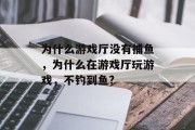 为什么游戏厅没有捕鱼，为什么在游戏厅玩游戏，不钓到鱼?