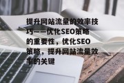 提升网站流量的效率技巧——优化SEO策略的重要性，优化SEO策略，提升网站流量效率的关键，优化SEO策略，提升网站流量速度的方法与重要性。