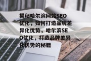 揭秘哈尔滨网站SEO优化，如何打造品牌差异化优势，哈尔滨SEO优化，打造品牌差异化优势的秘籍，哈尔滨SEO优化，品牌差异化的优势实现路径