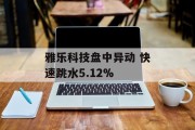 雅乐科技盘中异动 快速跳水5.12%