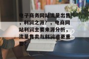 电子商务网站流量出售，利润之源？，电商网站利润主要来源分析，流量售卖与利润谁更重要?