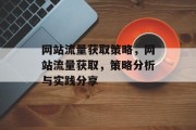 网站流量获取策略，网站流量获取，策略分析与实践分享