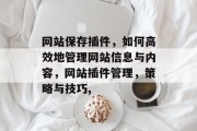 网站保存插件，如何高效地管理网站信息与内容，网站插件管理，策略与技巧,