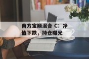 南方宝顺混合 C：净值下跌，持仓曝光