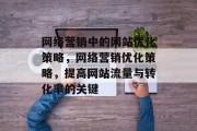 网络营销中的网站优化策略，网络营销优化策略，提高网站流量与转化率的关键，网络营销优化，提升网站流量与转化率的关键策略