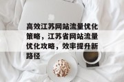 高效江苏网站流量优化策略，江苏省网站流量优化攻略，效率提升新路径，高效江苏网站流量优化攻略