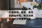 哈尔滨网站优化公司，打造高效、稳定、高效的网站环境，哈尔滨网站优化公司案例分析