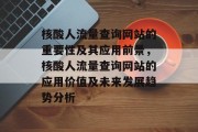 核酸人流量查询网站的重要性及其应用前景，核酸人流量查询网站的应用价值及未来发展趋势分析，核酸人流量查询网站的当前地位与未来发展