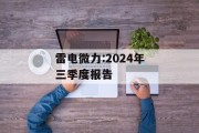 雷电微力:2024年三季度报告