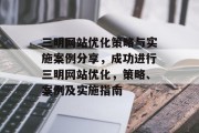 三明网站优化策略与实施案例分享，成功进行三明网站优化，策略、案例及实施指南，案例解析，如何制定精准的三明网站优化策略并执行至落地执行?