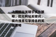 上海网站关键字优化策略，优化网站关键词，提升搜索引擎排名的关键策略，上海网站关键词优化实战，提升搜索引擎排名的策略