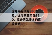 提升莱芜网站SEO策略，优化莱芜网站SEO，提升网站排名的高效策略，提升莱芜网站SEO，优化策略指南