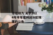 华培动力:关于2024年半年度利润分配预案的公告