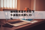 丽翔教育盘中异动 下午盘股价大跌5.39%