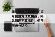 网站同声字幕插件的实用使用方法及挑战，网站同声字幕插件，使用指南与技巧