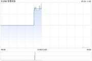 南粤控股盘中异动 股价大幅拉升逾25%