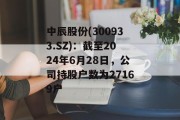 中辰股份(300933.SZ)：截至2024年6月28日，公司持股户数为27169户