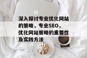 深入探讨专业优化网站的策略，专业SEO，优化网站策略的重要性及实践方法，专业SEO，提高网站流量与排名的关键策略及实践方法