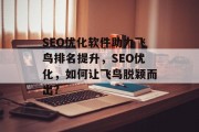 SEO优化软件助力飞鸟排名提升，SEO优化，如何让飞鸟脱颖而出?