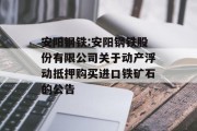 安阳钢铁:安阳钢铁股份有限公司关于动产浮动抵押购买进口铁矿石的公告