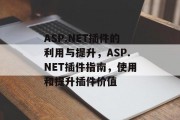 ASP.NET插件的利用与提升，ASP.NET插件指南，使用和提升插件价值