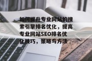 如何提升专业网站的搜索引擎排名优化，提高专业网站SEO排名优化技巧，策略与方法，提升专业网站搜索引擎排名优化，策略与方法